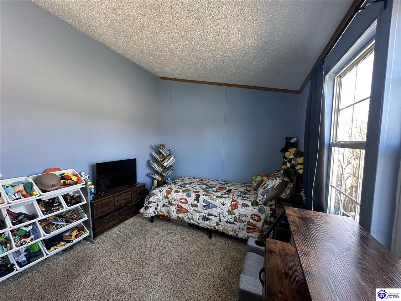 Listing Picture 1105 Greer Road Payneville, KY 40157 MLS HK25000843