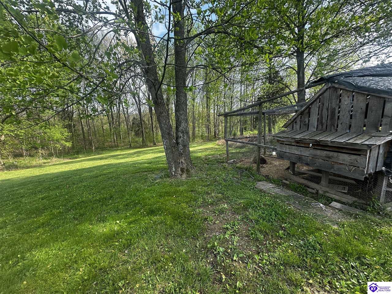 Listing Picture 1105 Greer Road Payneville, KY 40157 MLS HK25000843