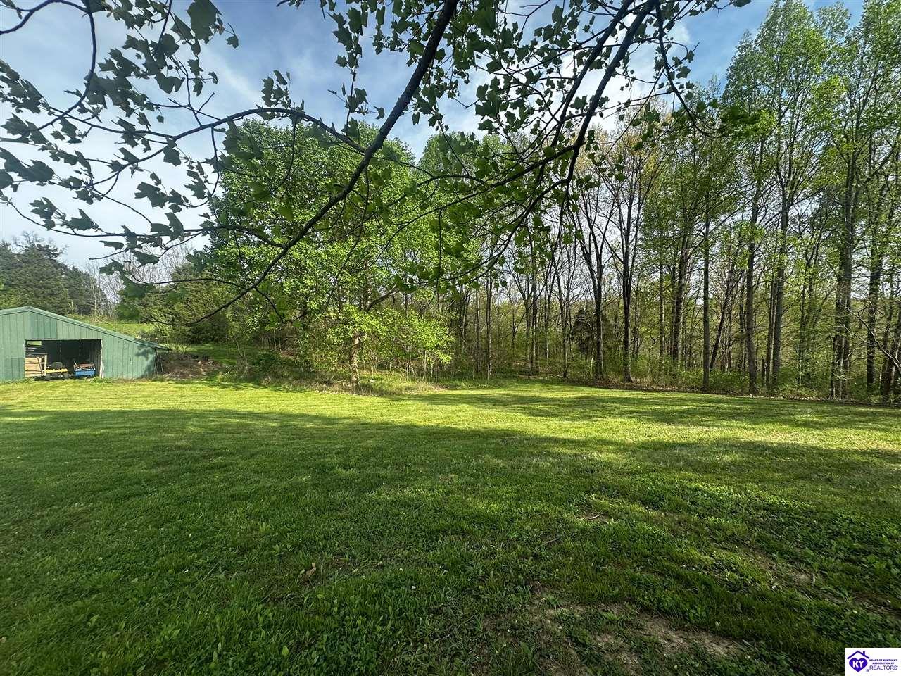 Listing Picture 1105 Greer Road Payneville, KY 40157 MLS HK25000843