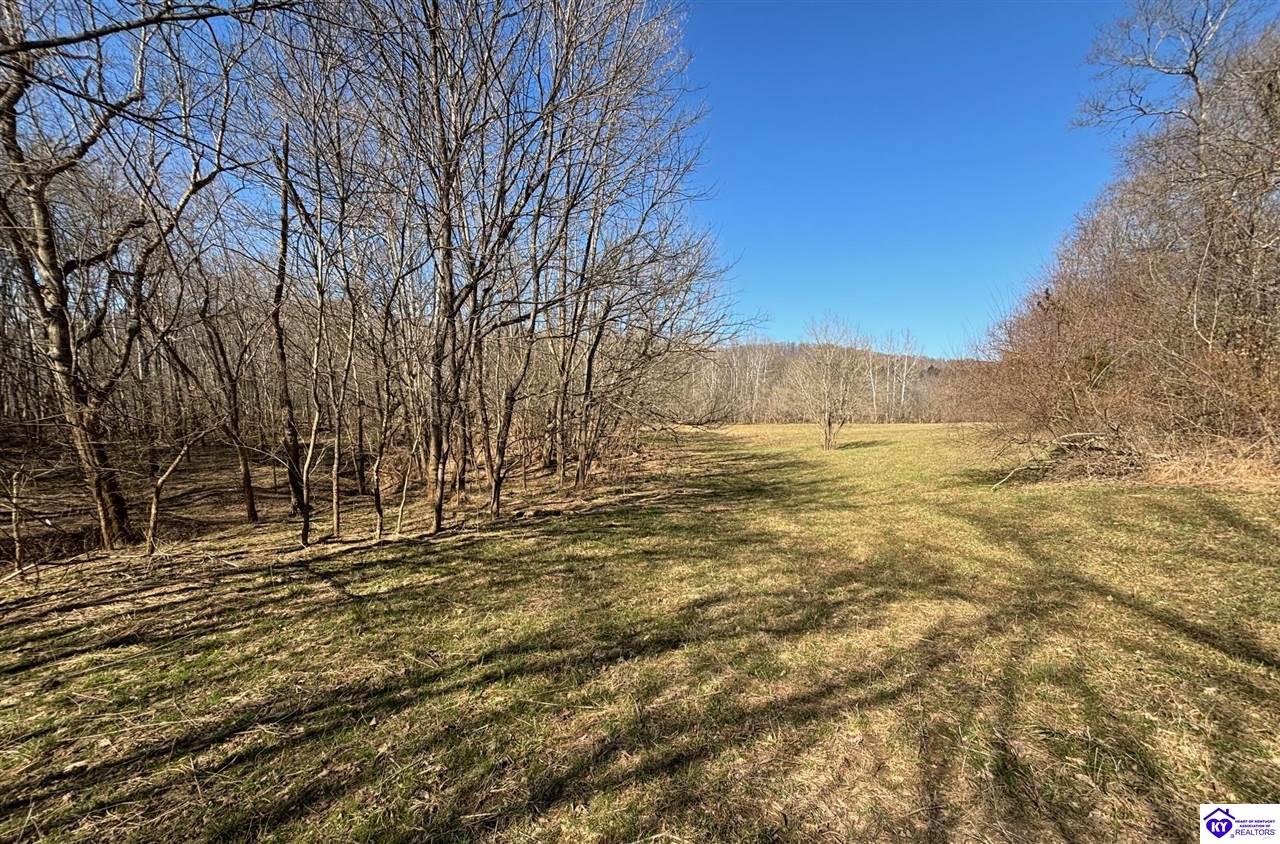 1087 Basham Allen LaneHarned, KY 40144