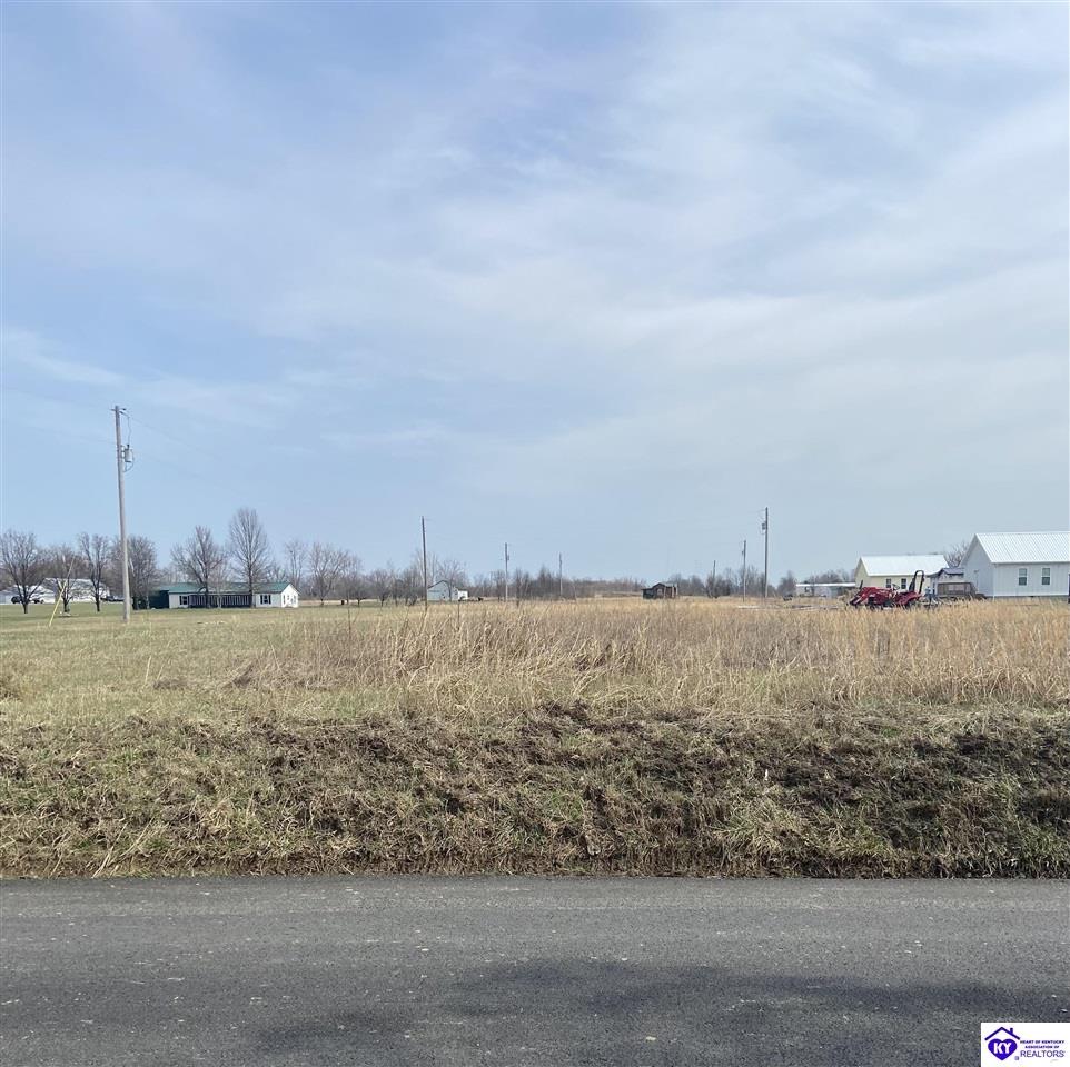 267 Lee Miller RoadLeitchfield, KY 42754