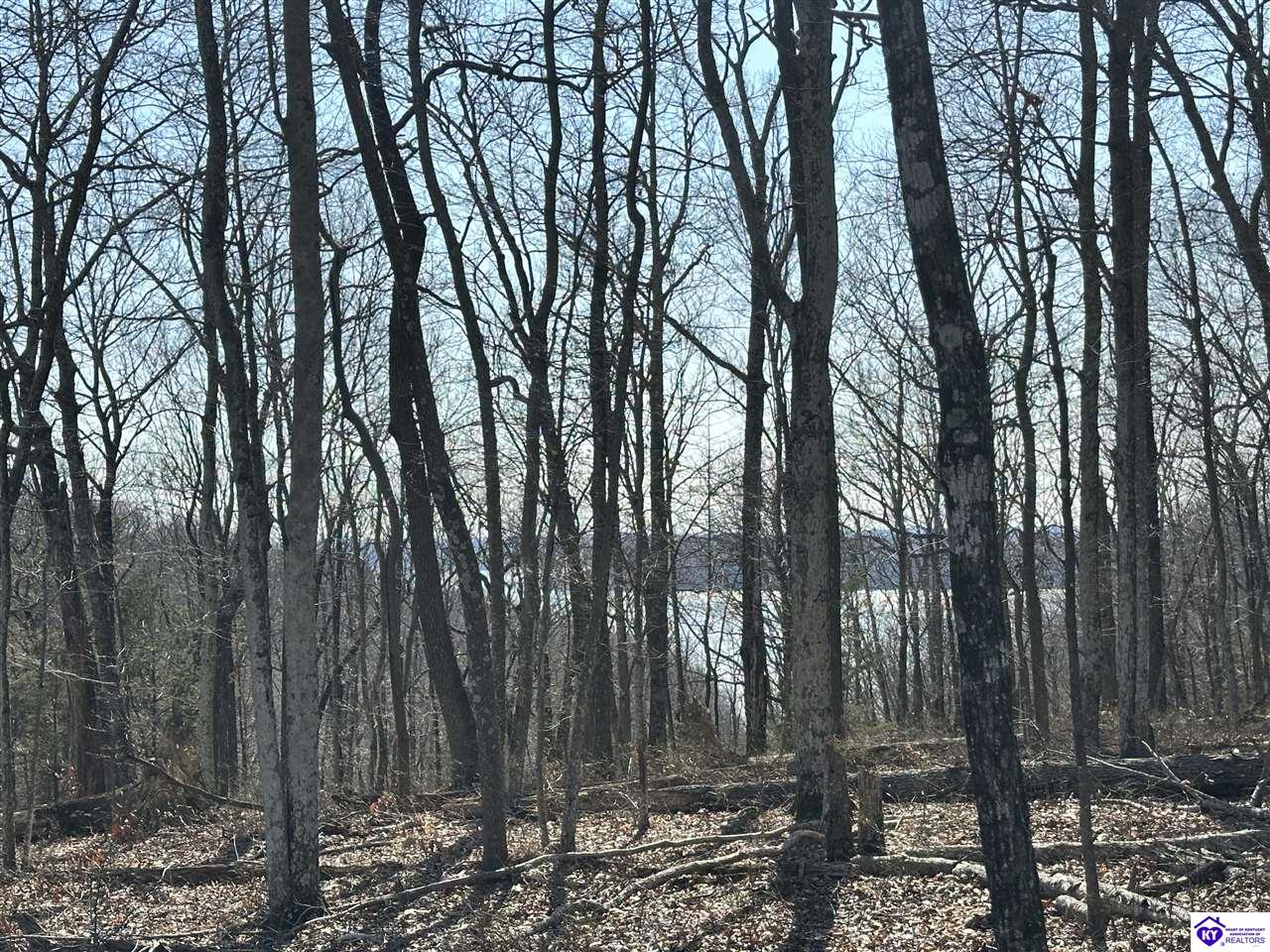 0 Pikes Ridge RoadColumbia, KY 42728