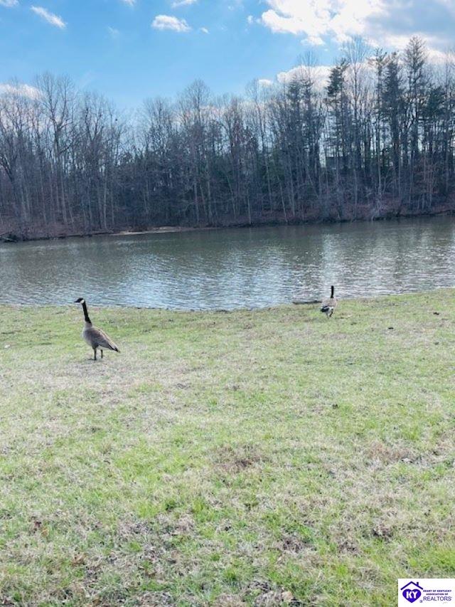 Listing Picture 402 Woods Road Elizabethtown, KY 42701 MLS HK25001165