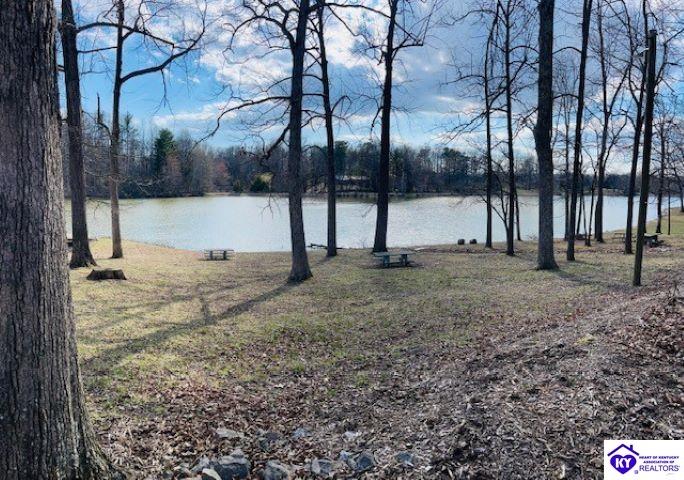 Listing Picture 402 Woods Road Elizabethtown, KY 42701 MLS HK25001165