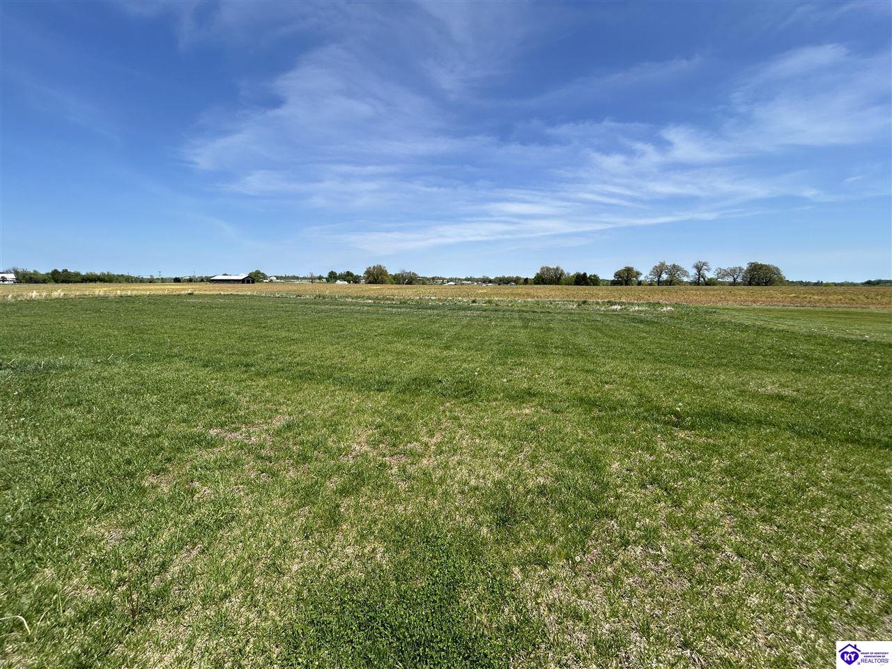 Listing Picture 103 Bluegrass Lane Harned, KY 40144 MLS HK25001172