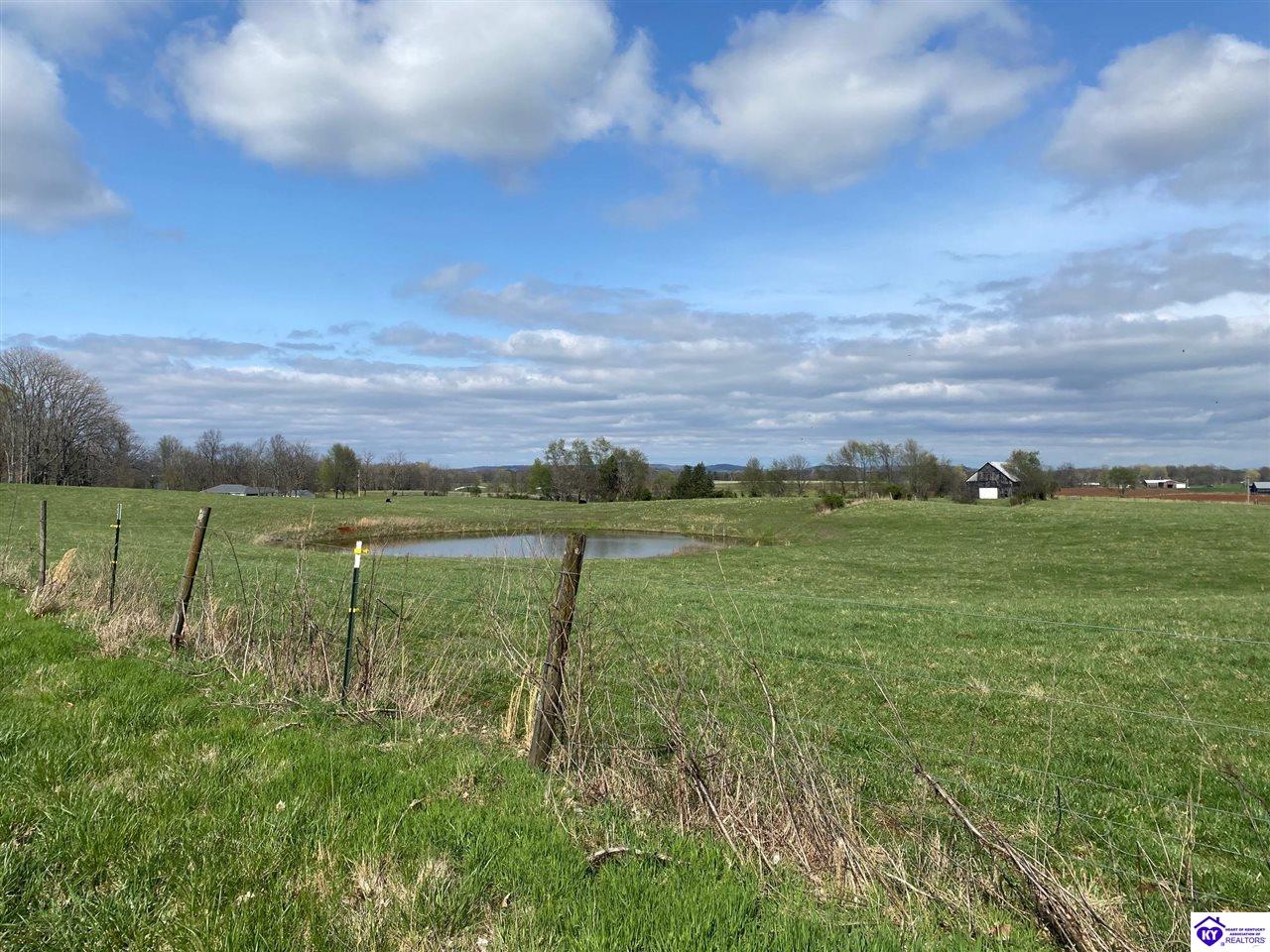 22.32 Lonoke RoadHorse Cave, KY 42749