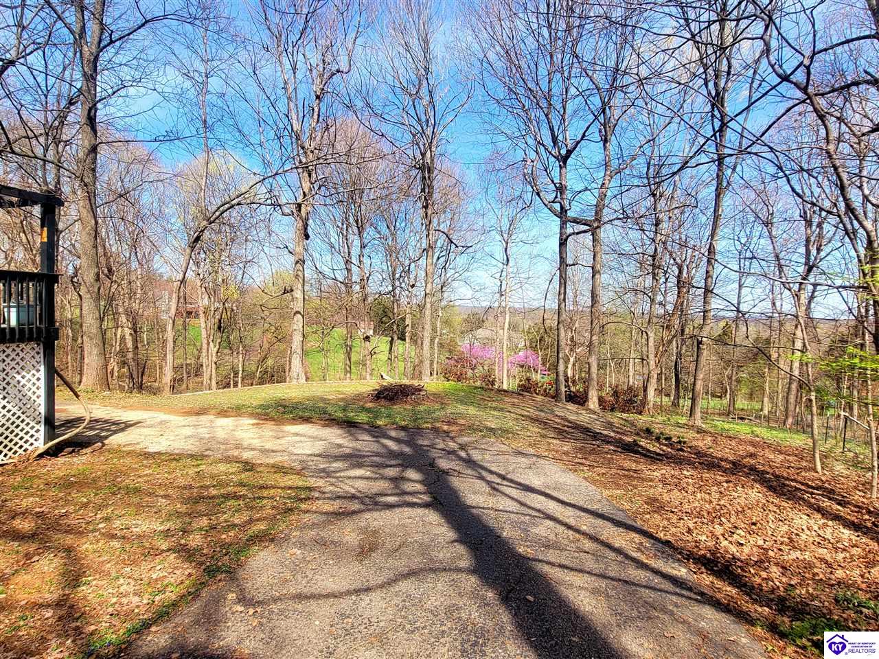 Listing Picture 164 Poplar Trace Elizabethtown, KY 42701 MLS HK25001267