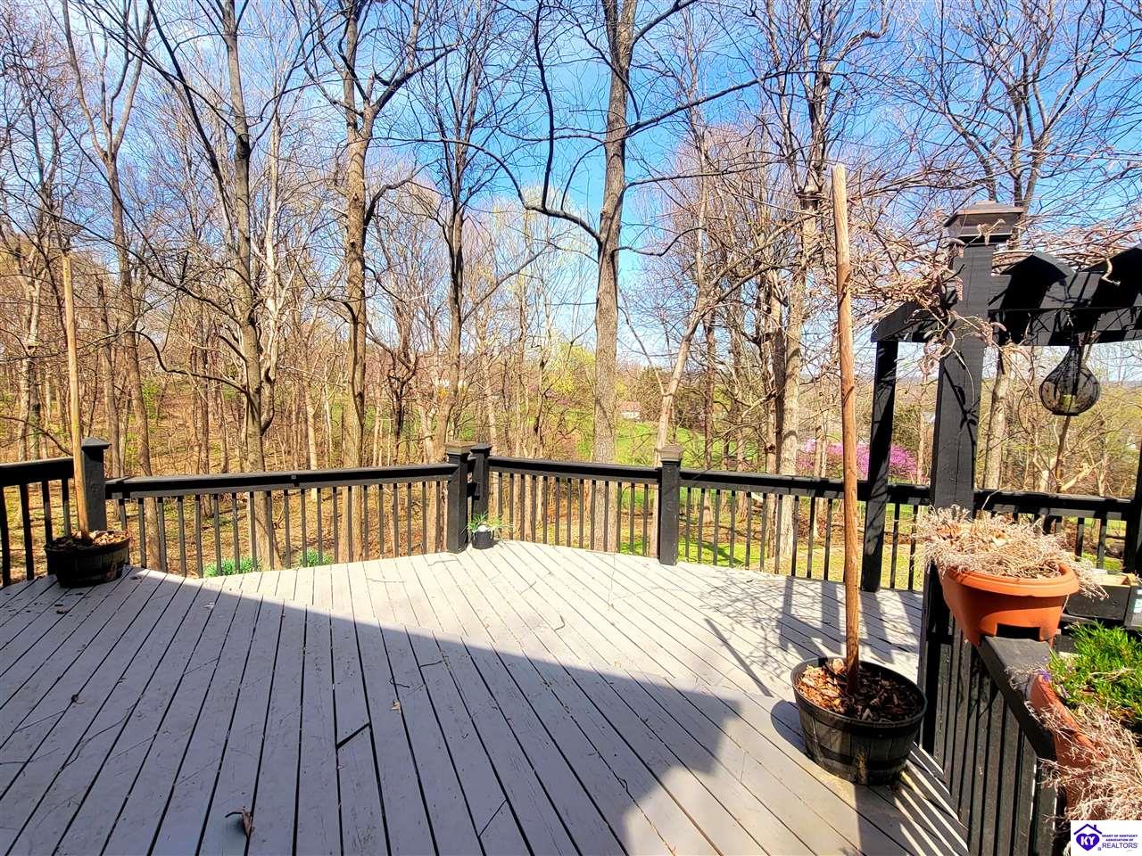 Listing Picture 164 Poplar Trace Elizabethtown, KY 42701 MLS HK25001267