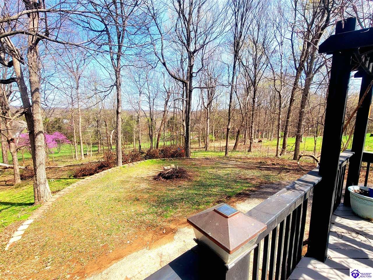 Listing Picture 164 Poplar Trace Elizabethtown, KY 42701 MLS HK25001267