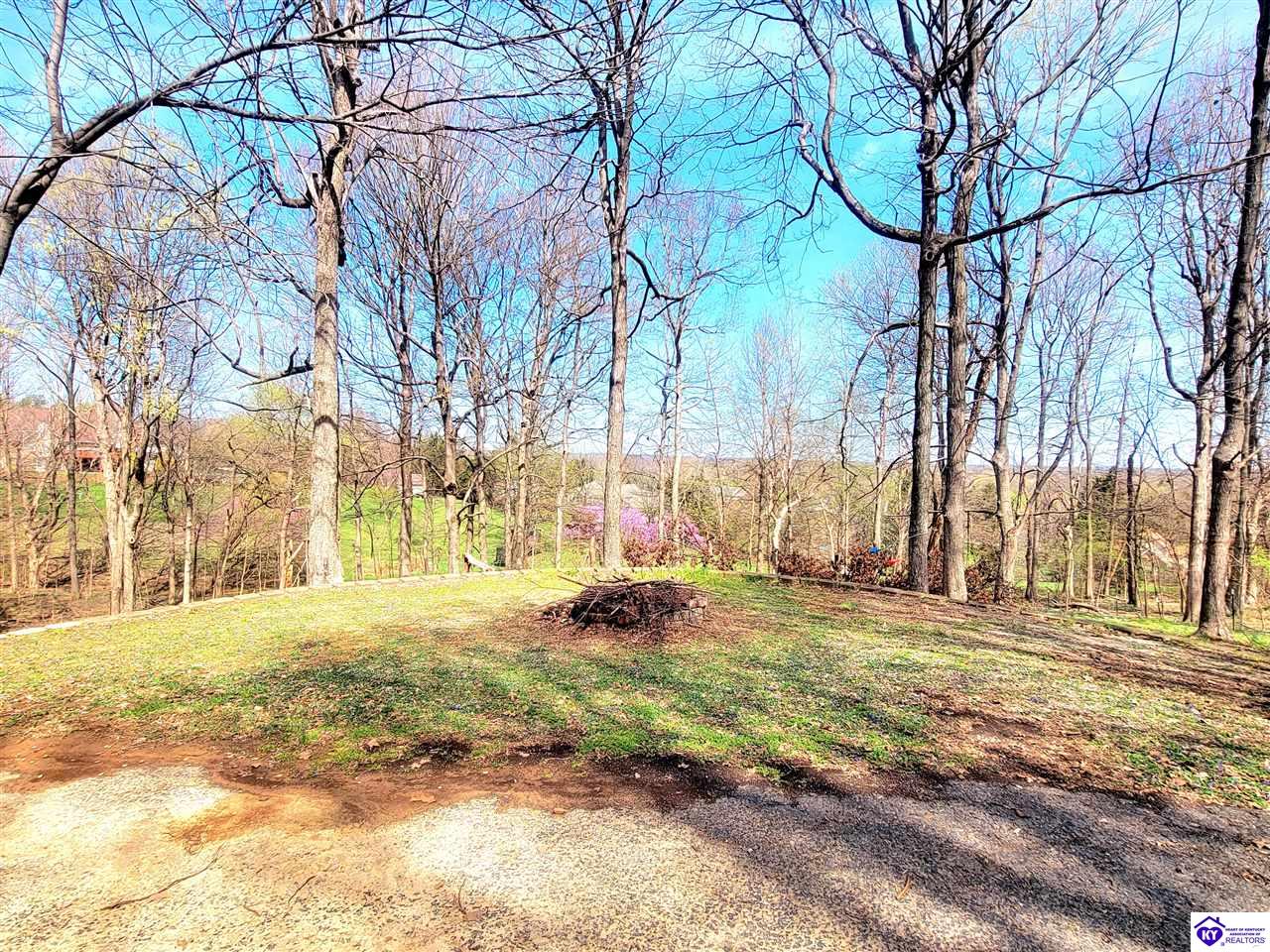 Listing Picture 164 Poplar Trace Elizabethtown, KY 42701 MLS HK25001267