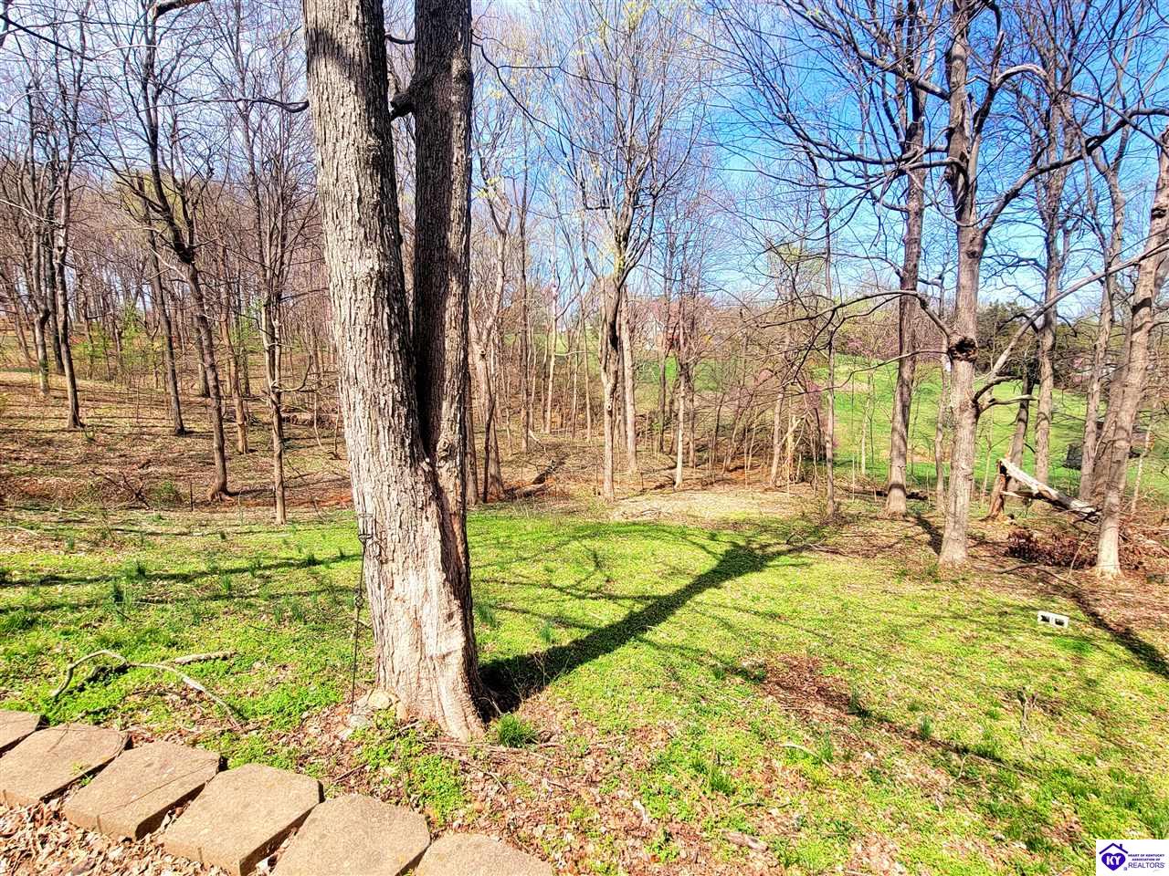 Listing Picture 164 Poplar Trace Elizabethtown, KY 42701 MLS HK25001267