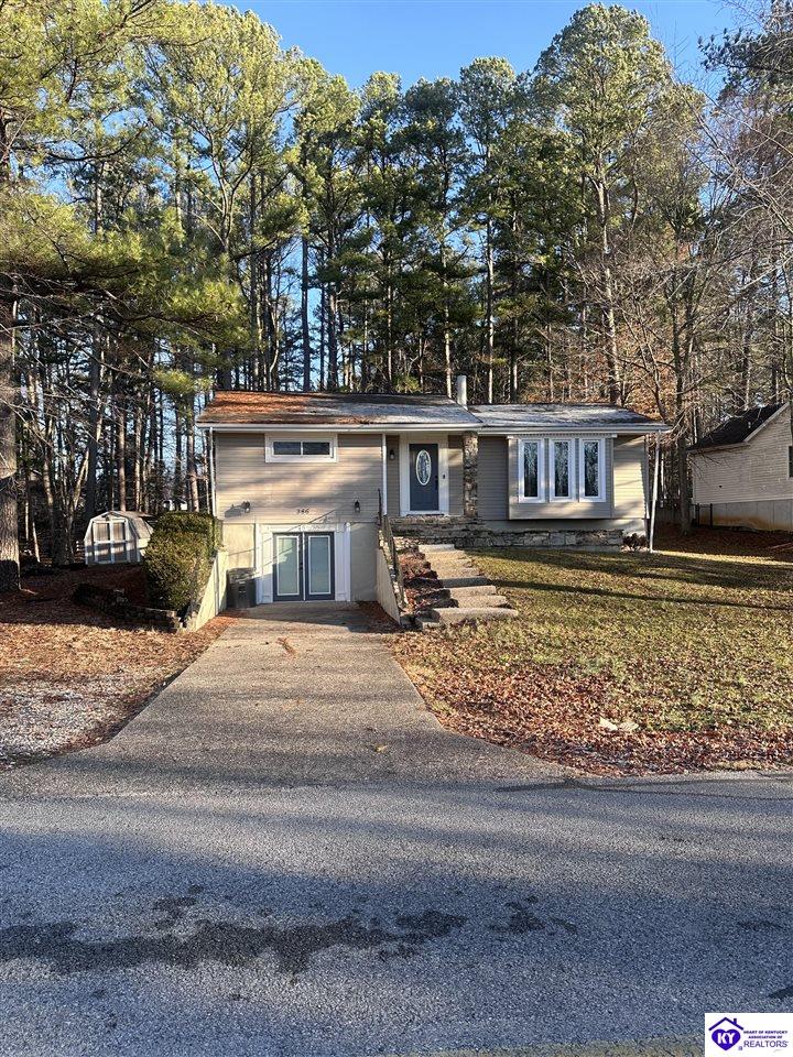 386 Pine Ridge DriveBrandenburg, KY 40108