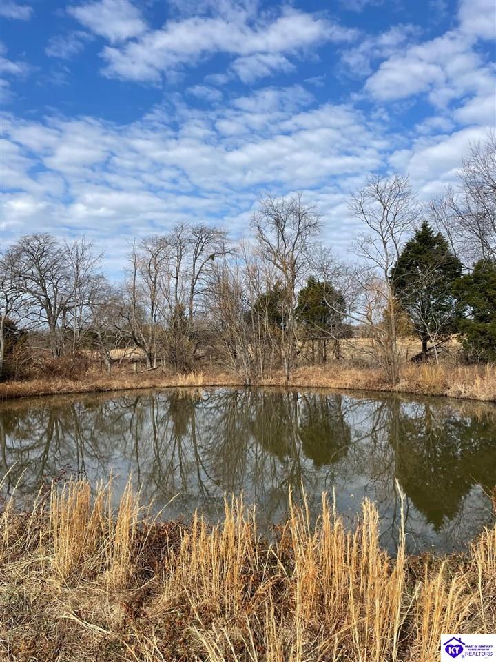Lot 5 Green Valley Ranch RoadBattletown, KY 40104