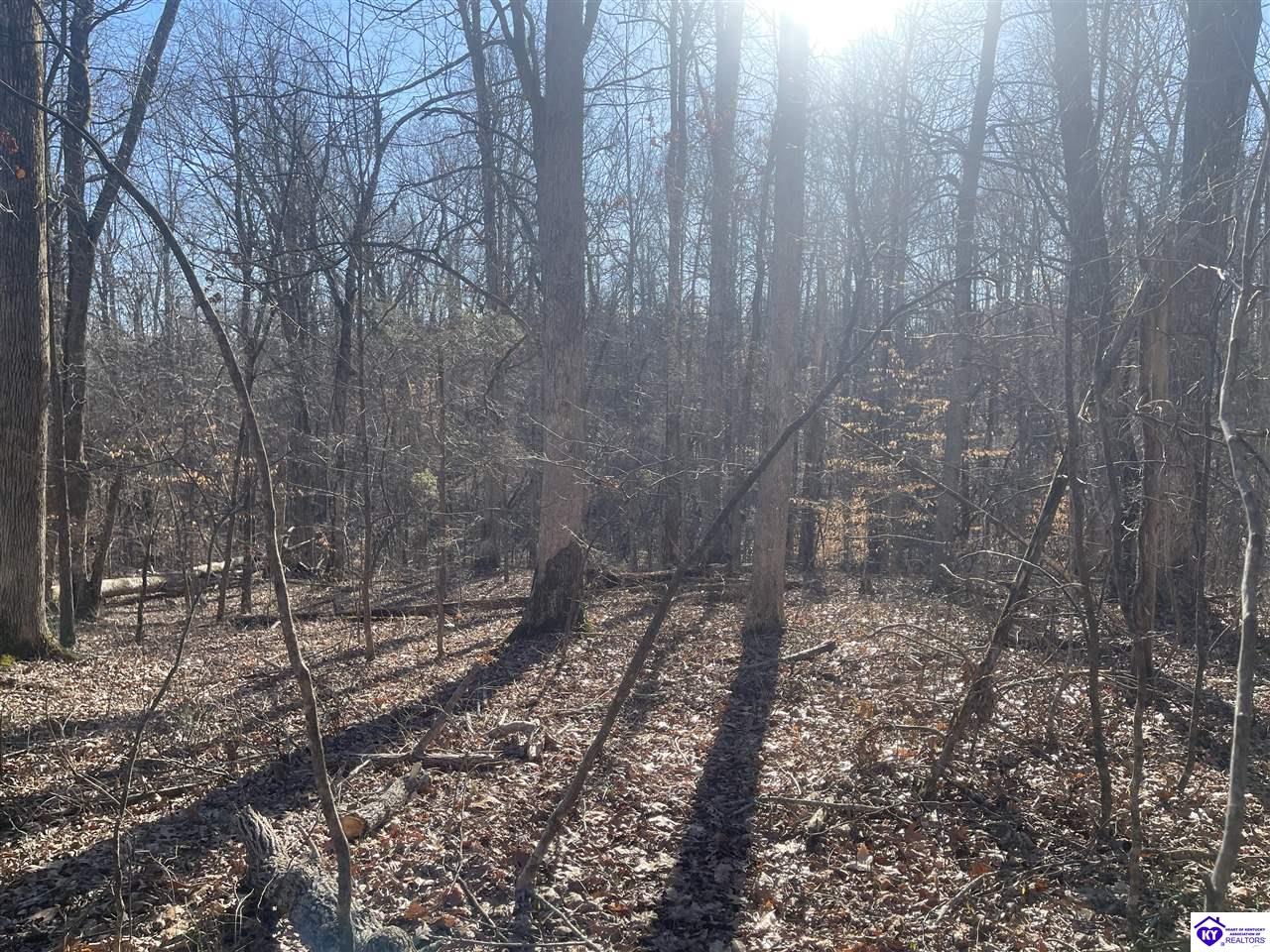 1848 Levelwoods RoadBuffalo, KY 42716