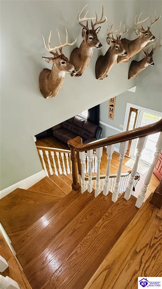 Listing Picture 4070 New Columbia Road Campbellsville, KY 42718 MLS HK25001345