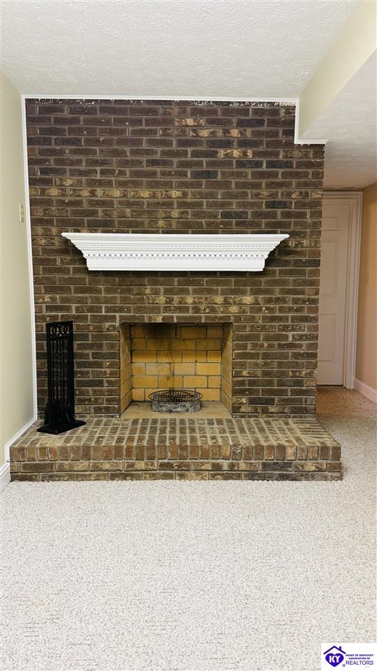 Listing Picture 4070 New Columbia Road Campbellsville, KY 42718 MLS HK25001345