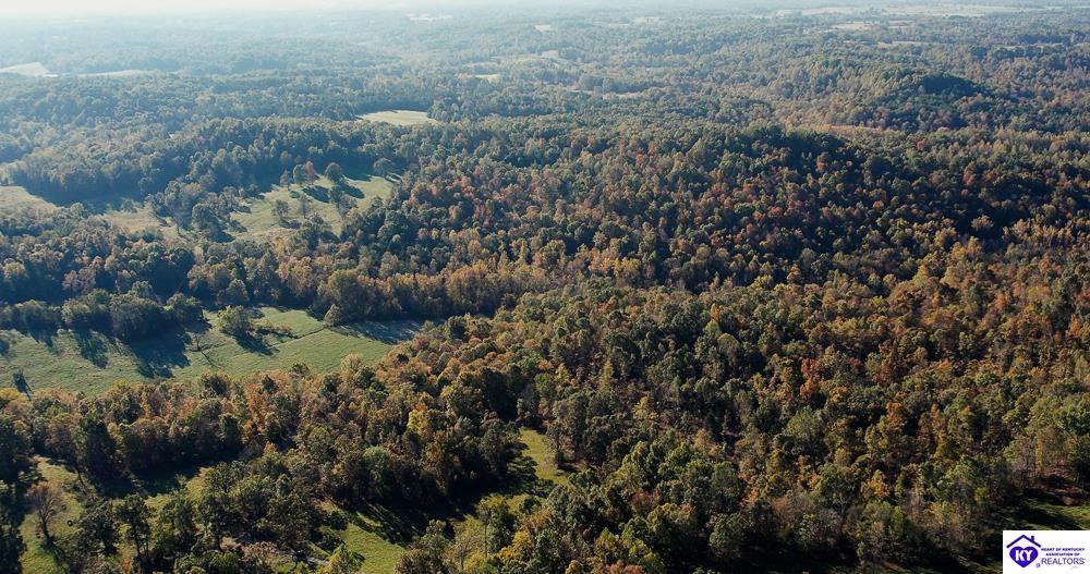 TRACT 3 Roy RoadEastview, KY 42732