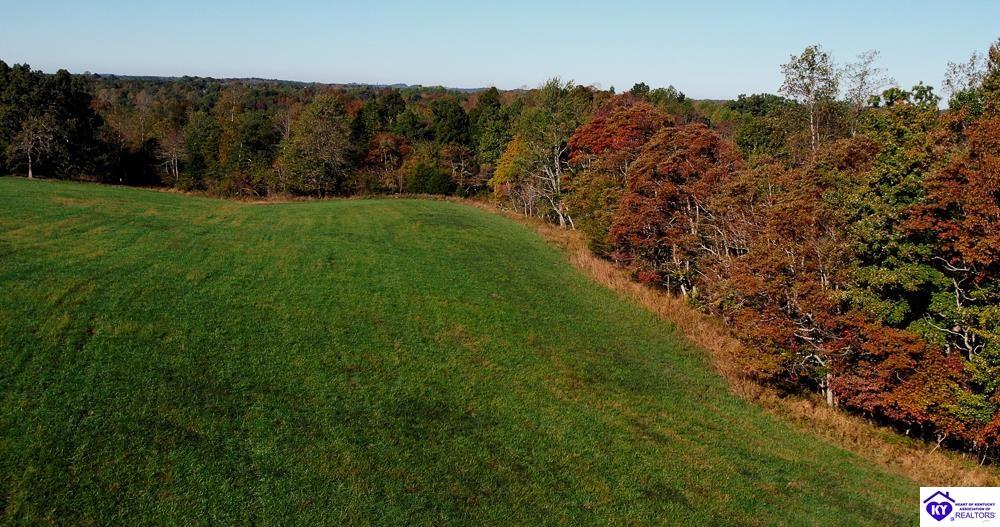 TRACT 2 Roy RoadEastview, KY 42732