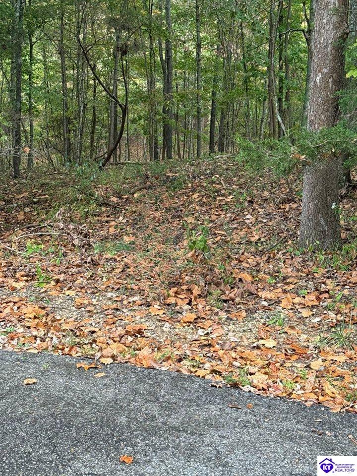 Lot 971 Penny Royal LaneBrandenburg, KY 40108