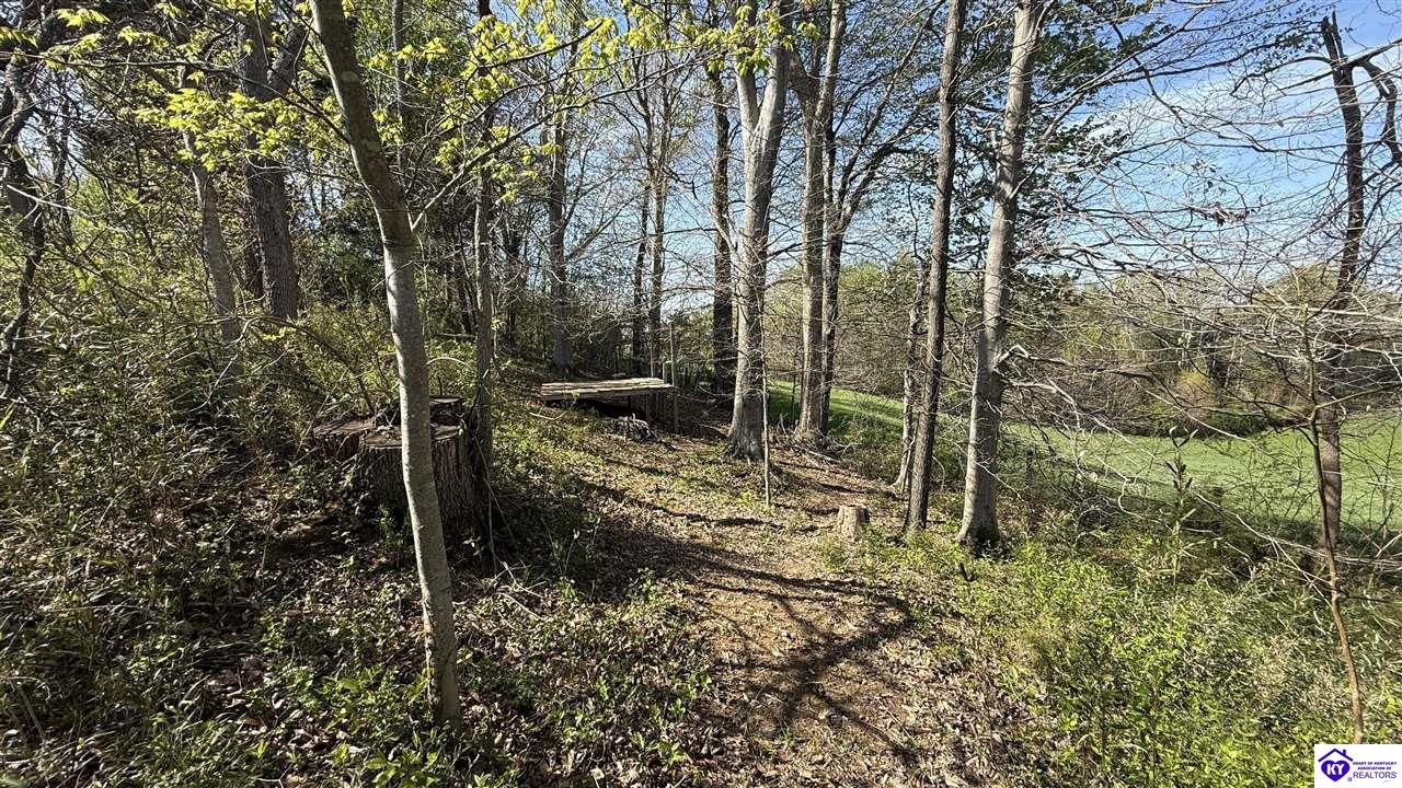 Listing Picture 615 Highway 88 Greensburg, KY 42743 MLS HK25001472