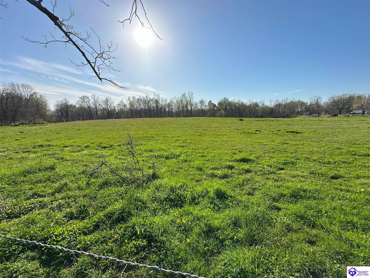 7367 Highway 477Webster, KY 40176