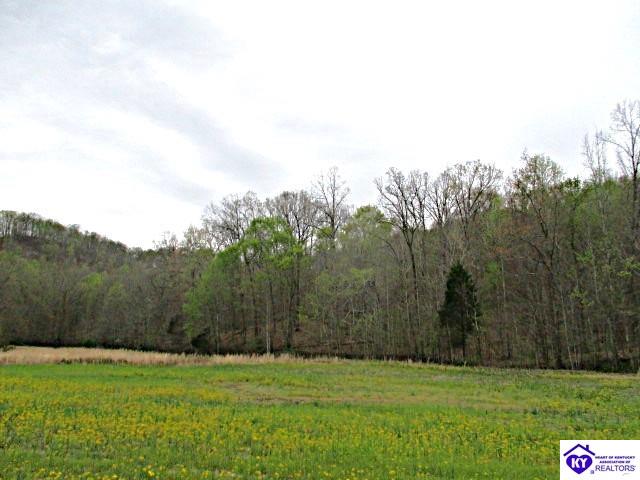 Lot 38 Sulphur Lick RoadNew Hope, KY 40052