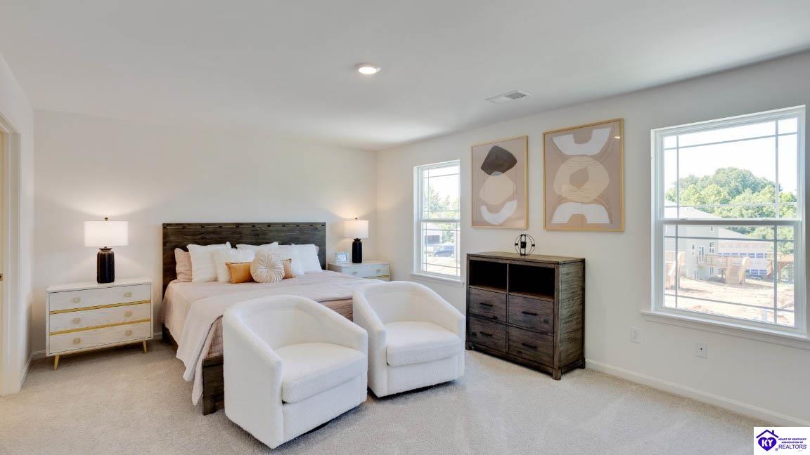 Listing Picture 105 Canyon Street Elizabethtown, KY 42701 MLS HK25001524