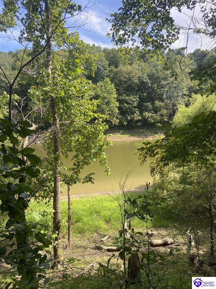 992 Jm Mercer Campsite RoadHudson, KY 40145