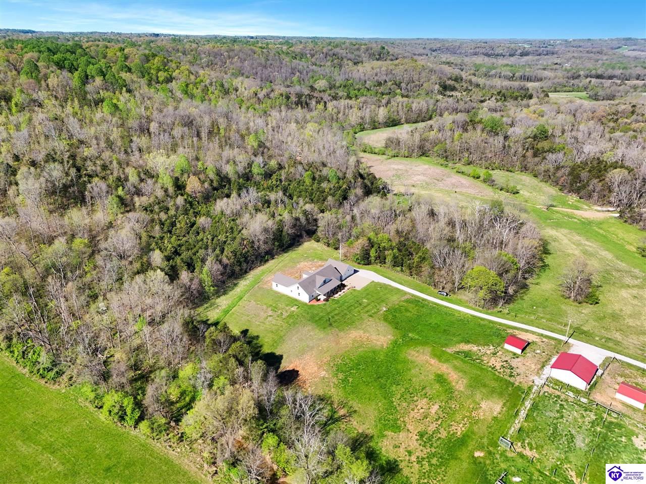 Listing Picture 197 Ashby Lane Custer, KY 40115 MLS HK25001569