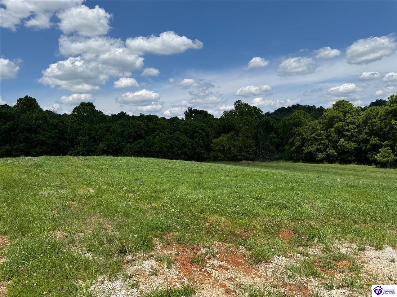 Listing Picture 197 Ashby Lane Custer, KY 40115 MLS HK25001569