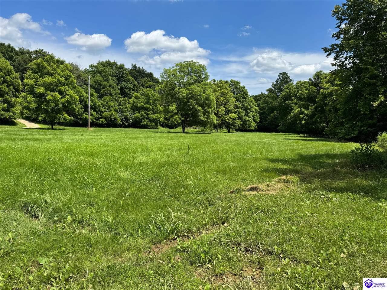 Listing Picture 197 Ashby Lane Custer, KY 40115 MLS HK25001569