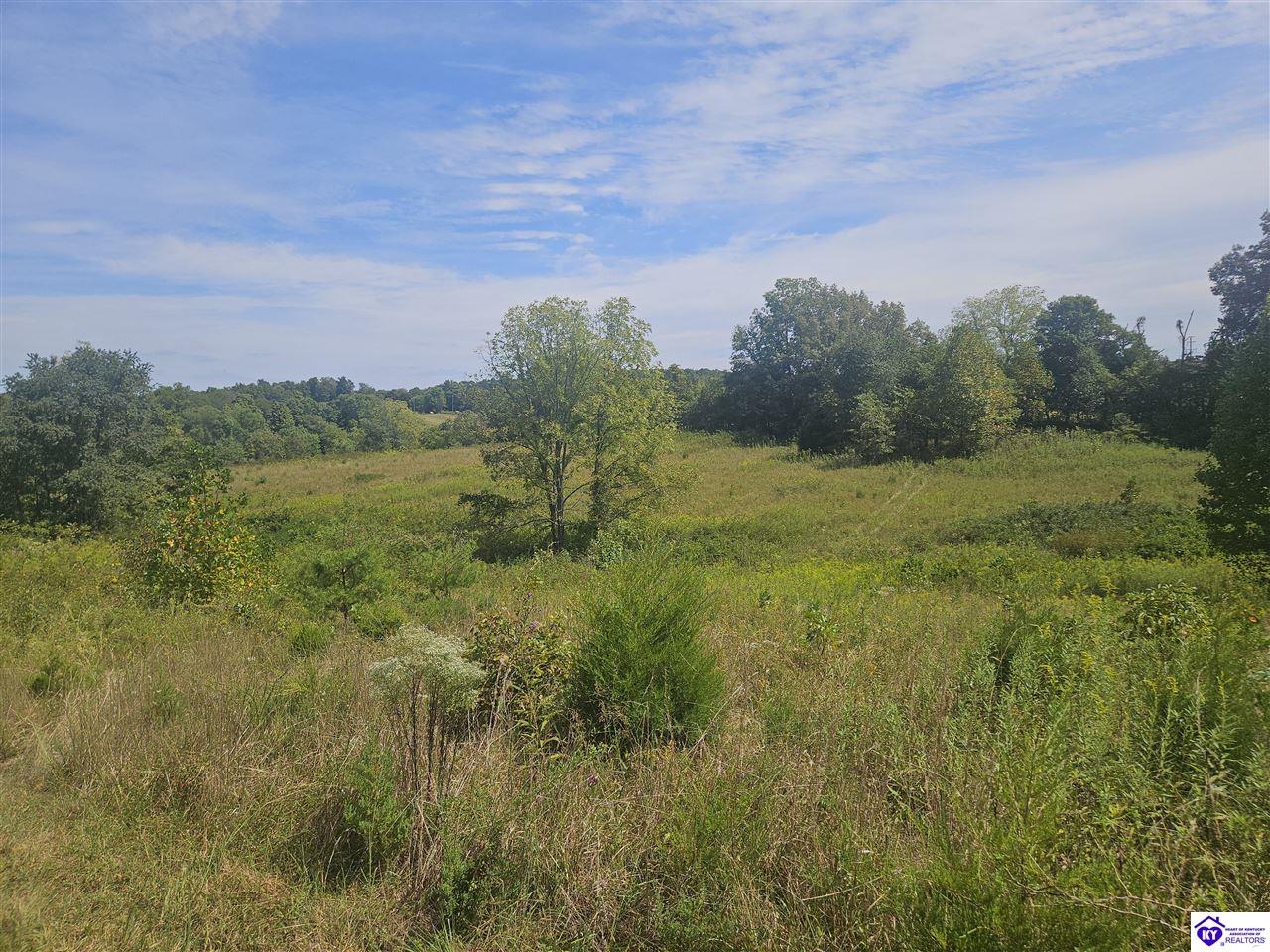 475 L and N Turnpike Hodgenville, KY 42748 #1