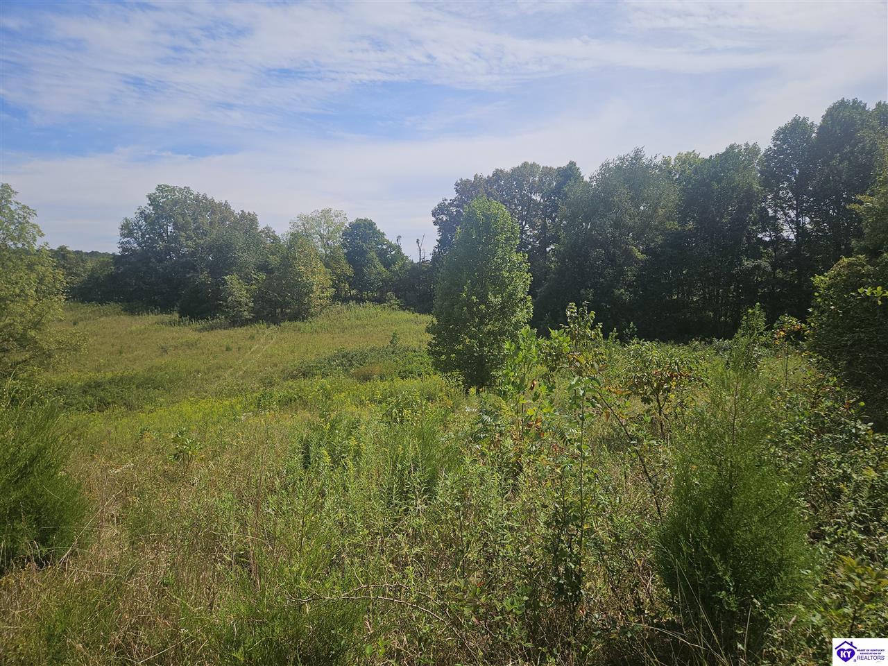 475 L and N Turnpike Hodgenville, KY 42748 #2