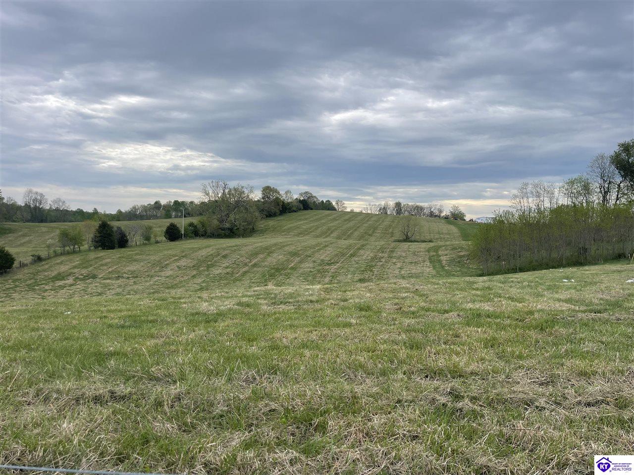 Tract 9 Webster RoadCampbellsville, KY 42718