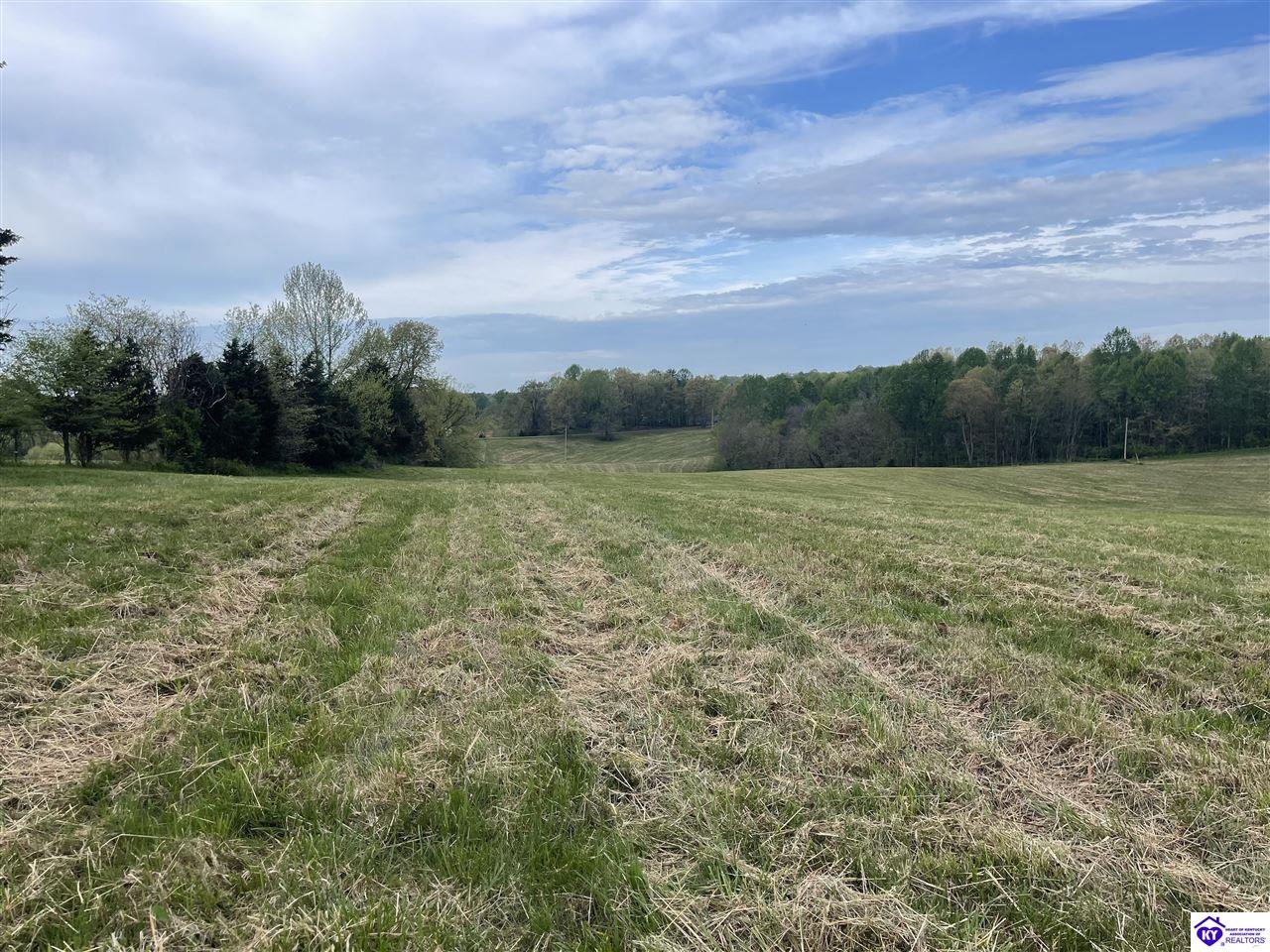 TRACT 10 Webster RoadCampbellsville, KY 42718