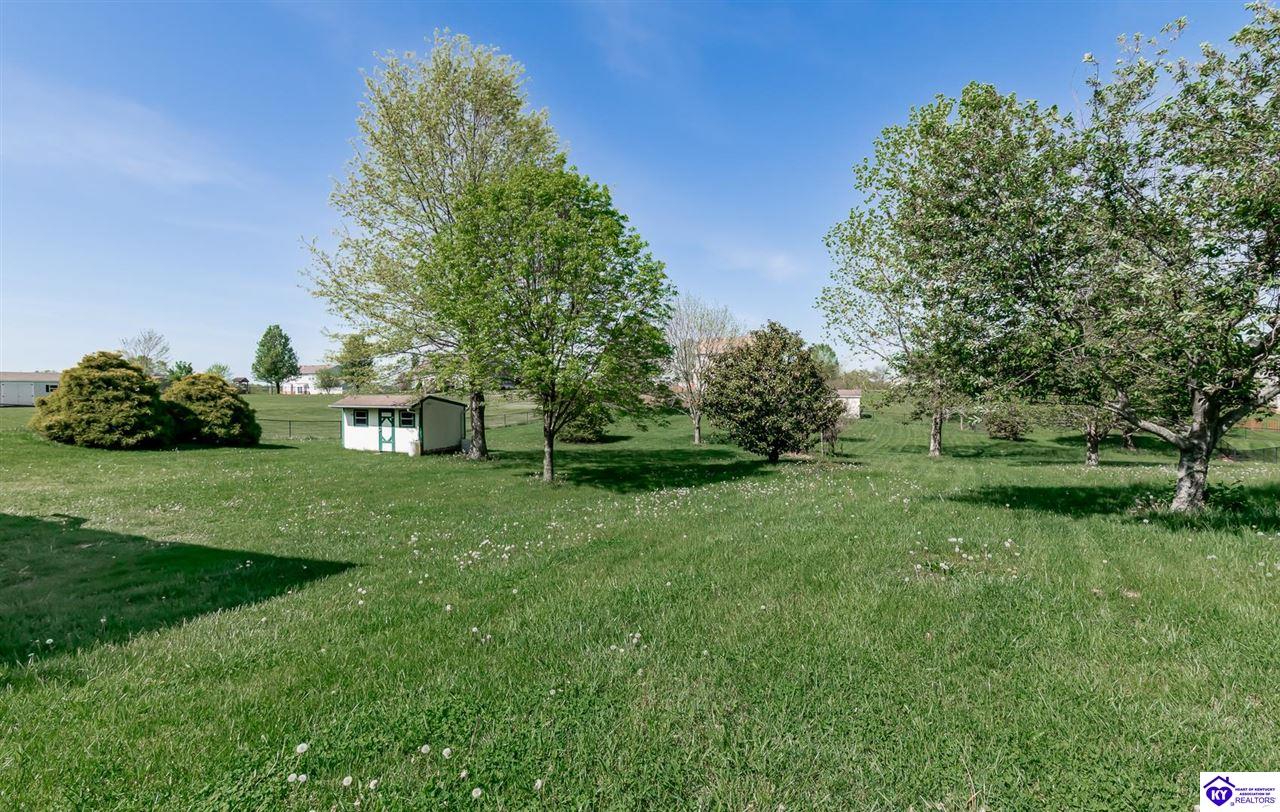 Listing Picture 163 Chase Lake Road Rineyville, KY 40162 MLS HK25001600