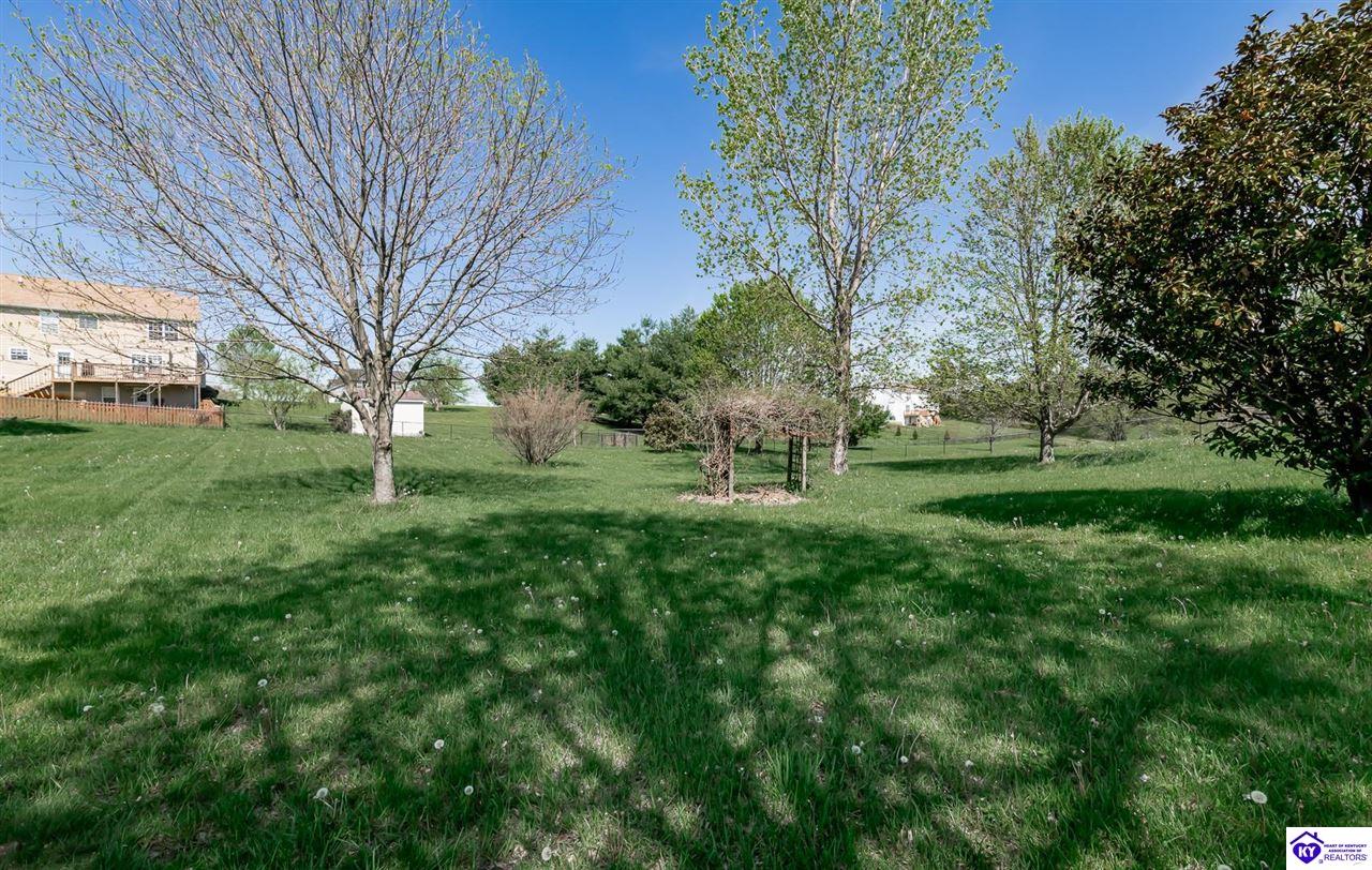 Listing Picture 163 Chase Lake Road Rineyville, KY 40162 MLS HK25001600