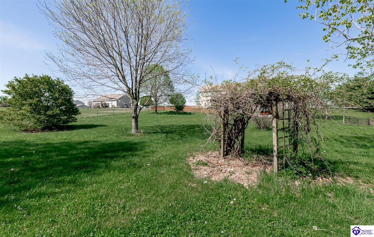 Listing Picture 163 Chase Lake Road Rineyville, KY 40162 MLS HK25001600