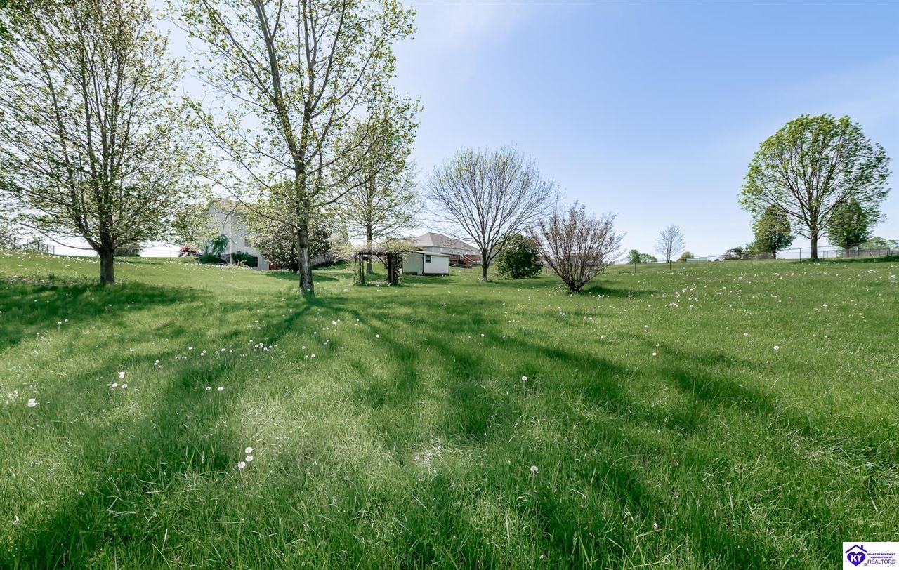 Listing Picture 163 Chase Lake Road Rineyville, KY 40162 MLS HK25001600