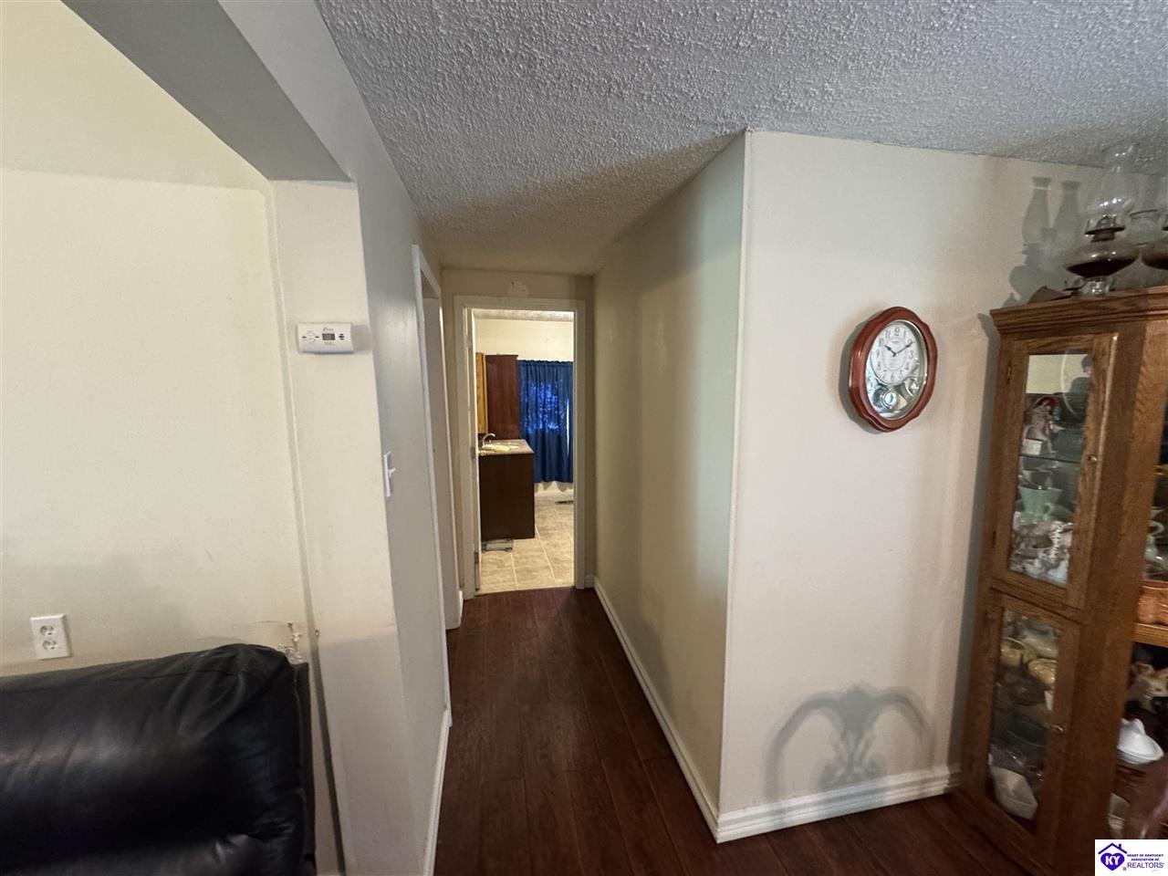 Listing Picture 709 Creek Street Cloverport, KY 40111 MLS HK25001622