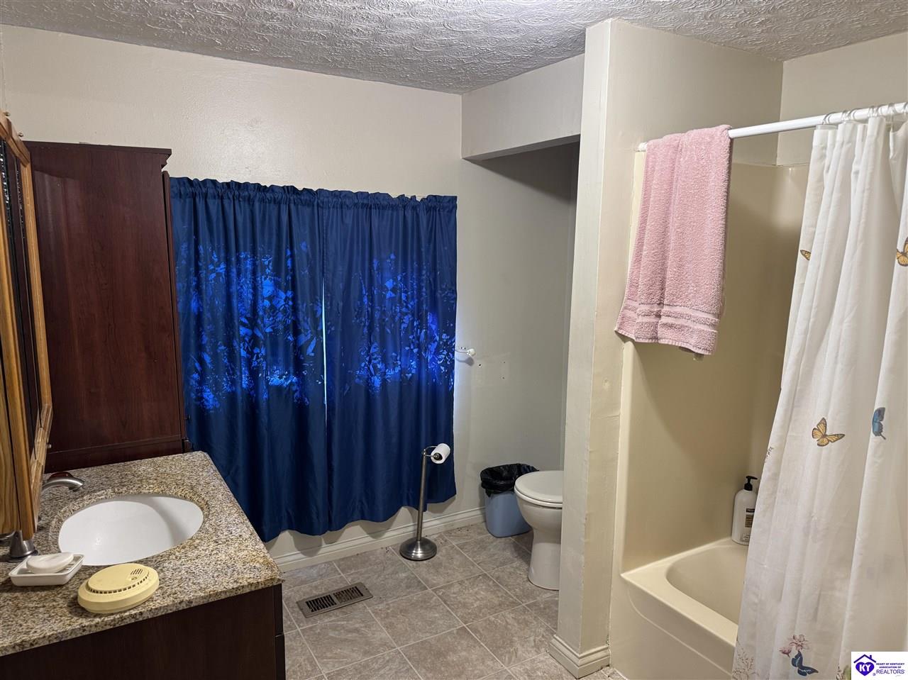 Listing Picture 709 Creek Street Cloverport, KY 40111 MLS HK25001622