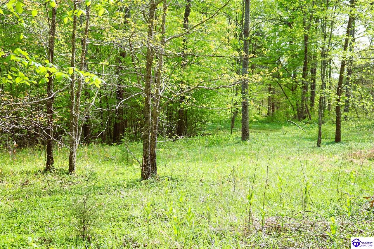 10051 Hammonsville RoadBonnieville, KY 42713