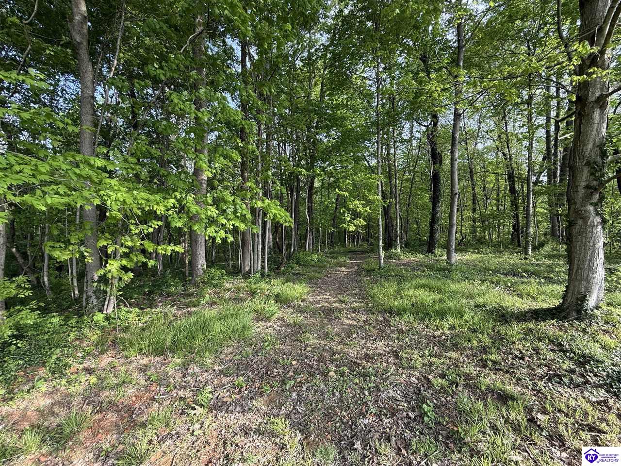 Listing Picture 1080 Tom Brown Road Vine Grove, KY 40175 MLS HK25001681