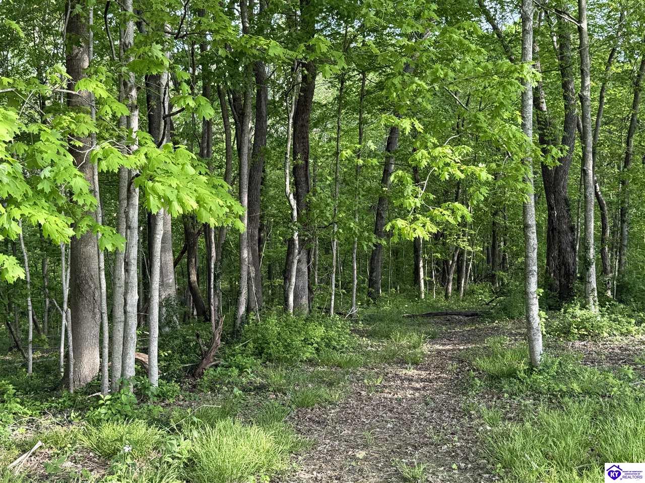 Listing Picture 1080 Tom Brown Road Vine Grove, KY 40175 MLS HK25001681