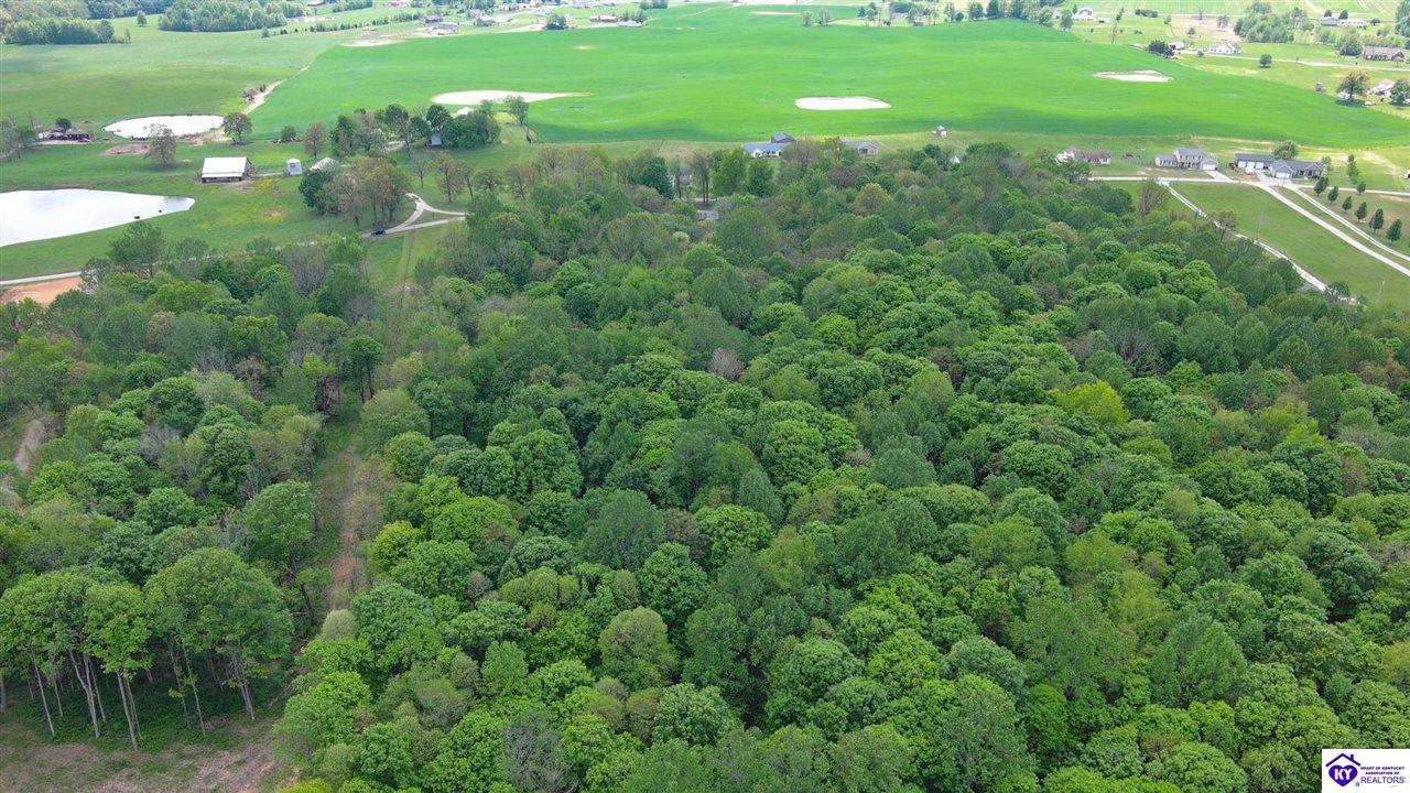 Listing Picture 1080 Tom Brown Road Vine Grove, KY 40175 MLS HK25001681