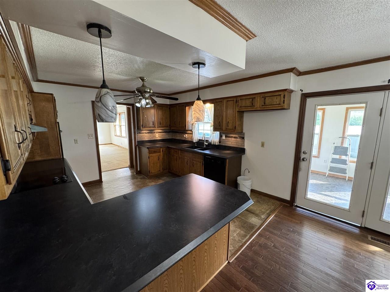 Listing Picture 911 Elm Street Cloverport, KY 40111 MLS HK25001716