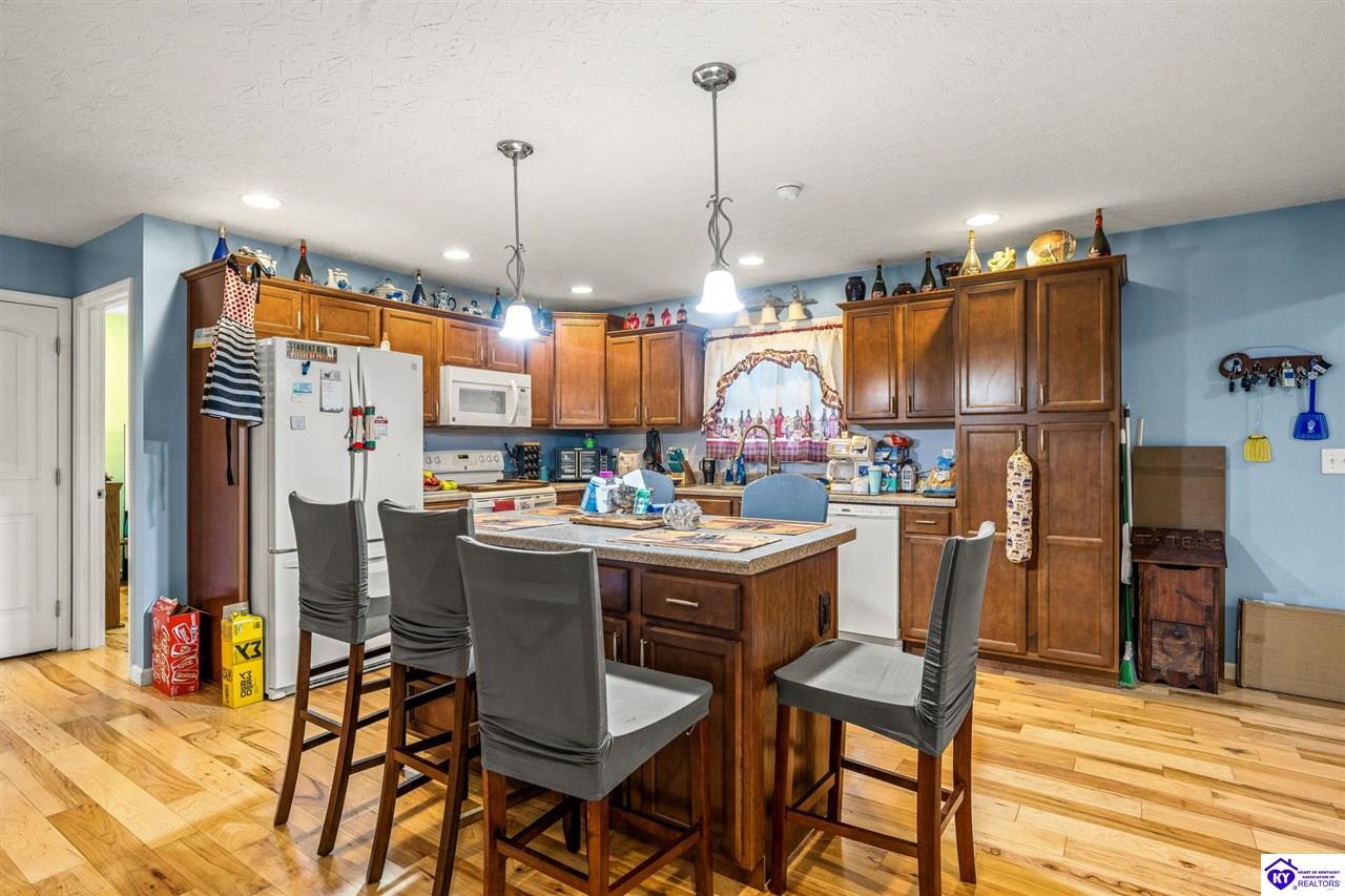 Listing Picture 15709 S Highway 259 Leitchfield, KY 42754 MLS HK25001729