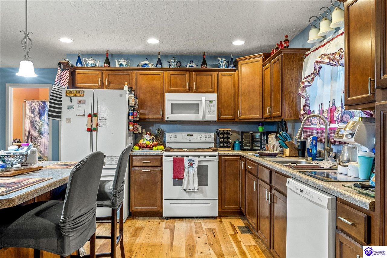 Listing Picture 15709 S Highway 259 Leitchfield, KY 42754 MLS HK25001729