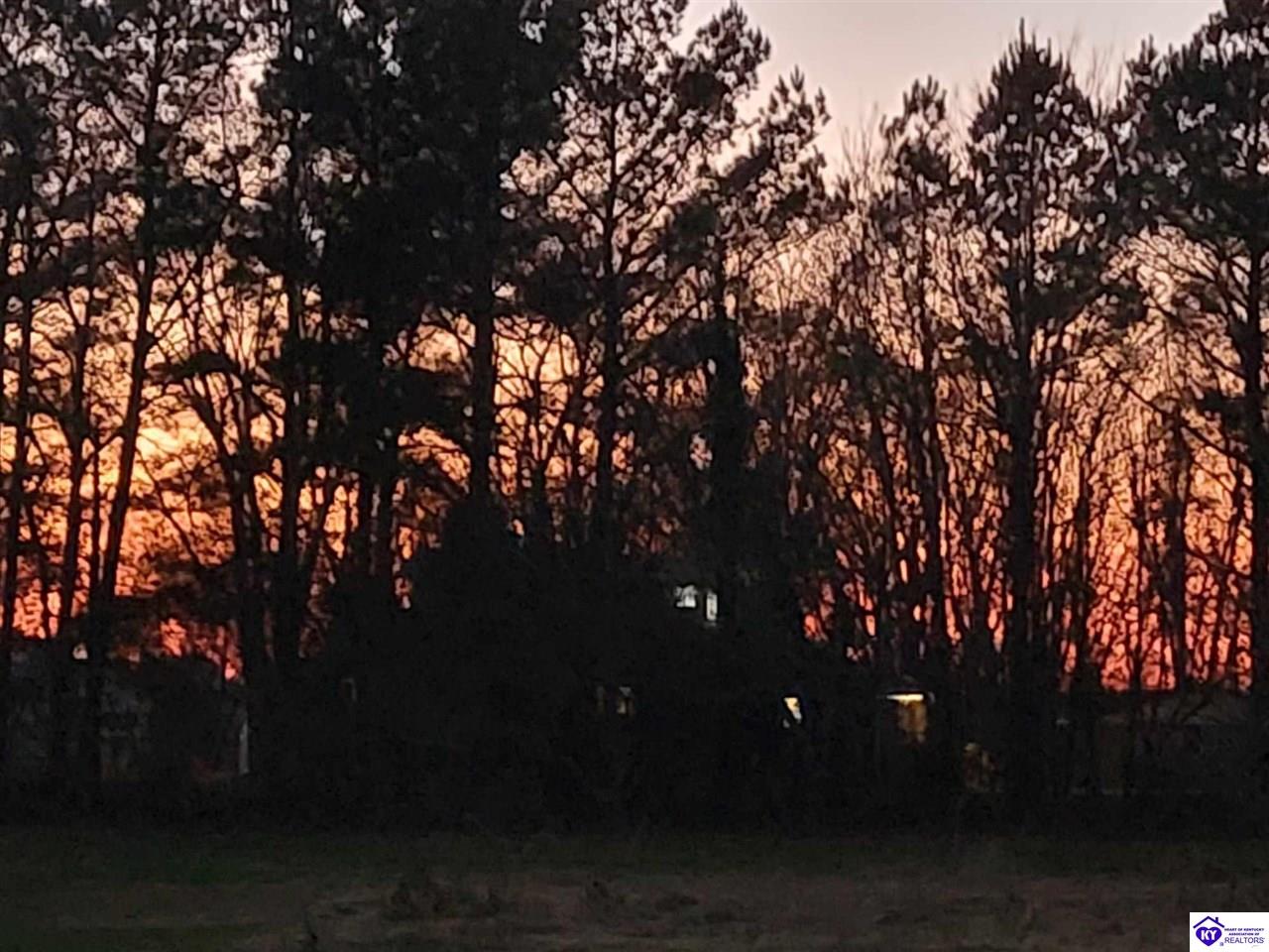 Listing Picture 15709 S Highway 259 Leitchfield, KY 42754 MLS HK25001729