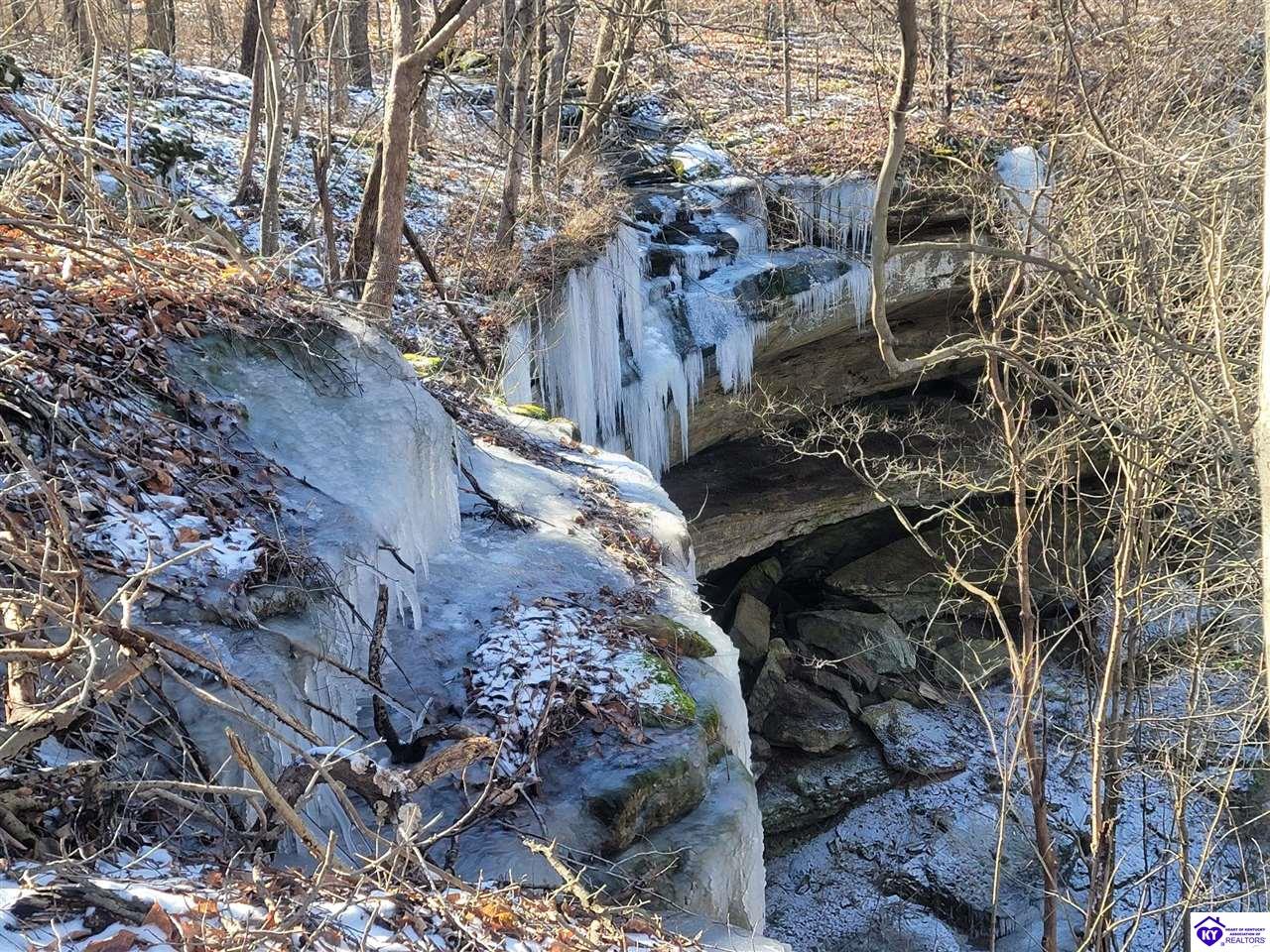 Listing Picture 15709 S Highway 259 Leitchfield, KY 42754 MLS HK25001729